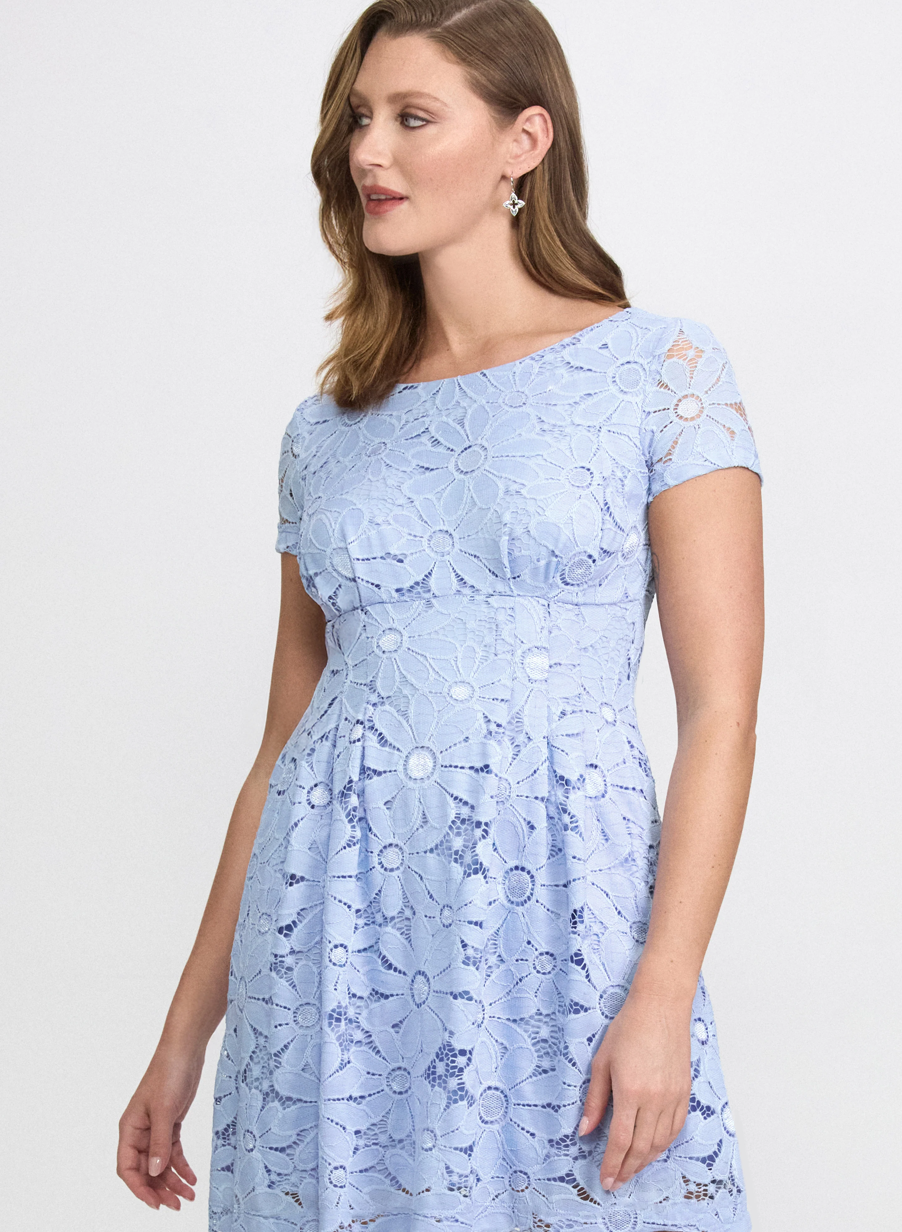 Lace Empire Waist Dress - Image 5