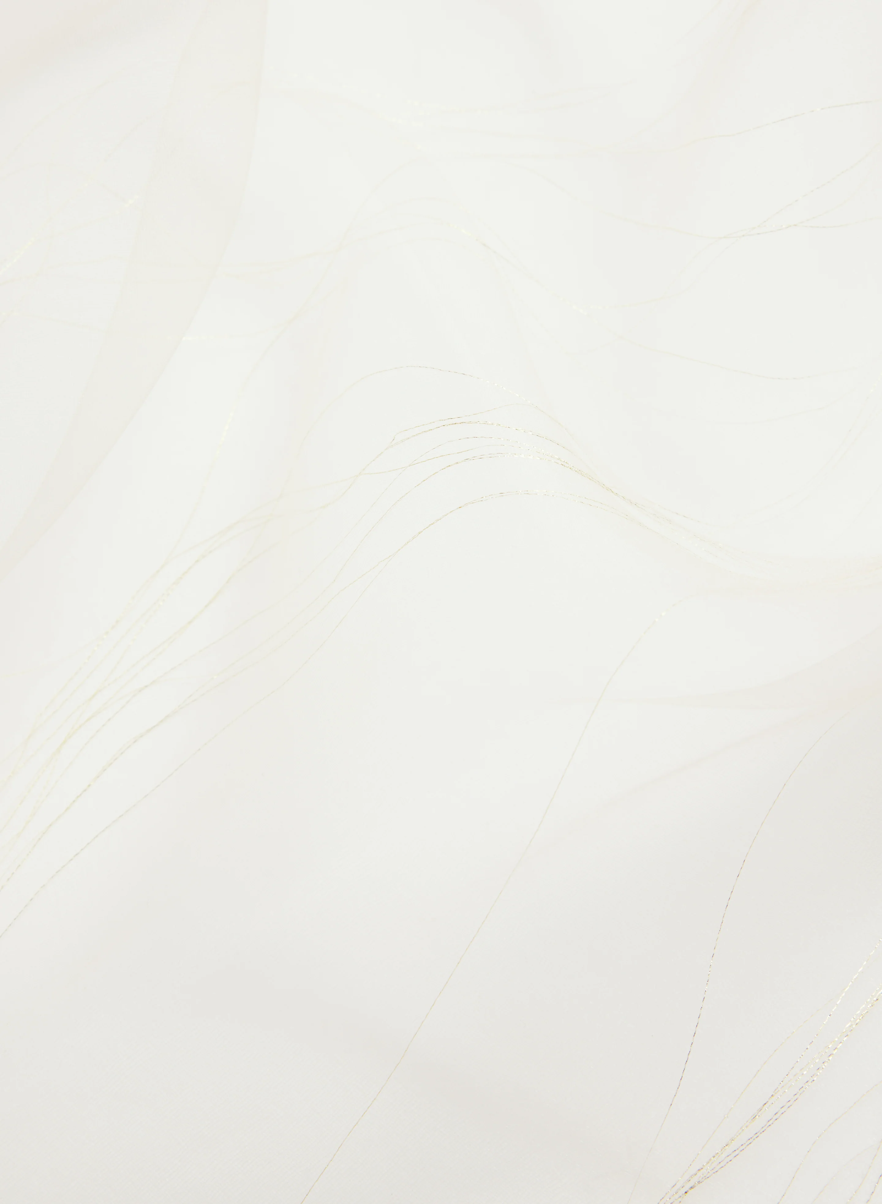 Organza Shawl - Image 2